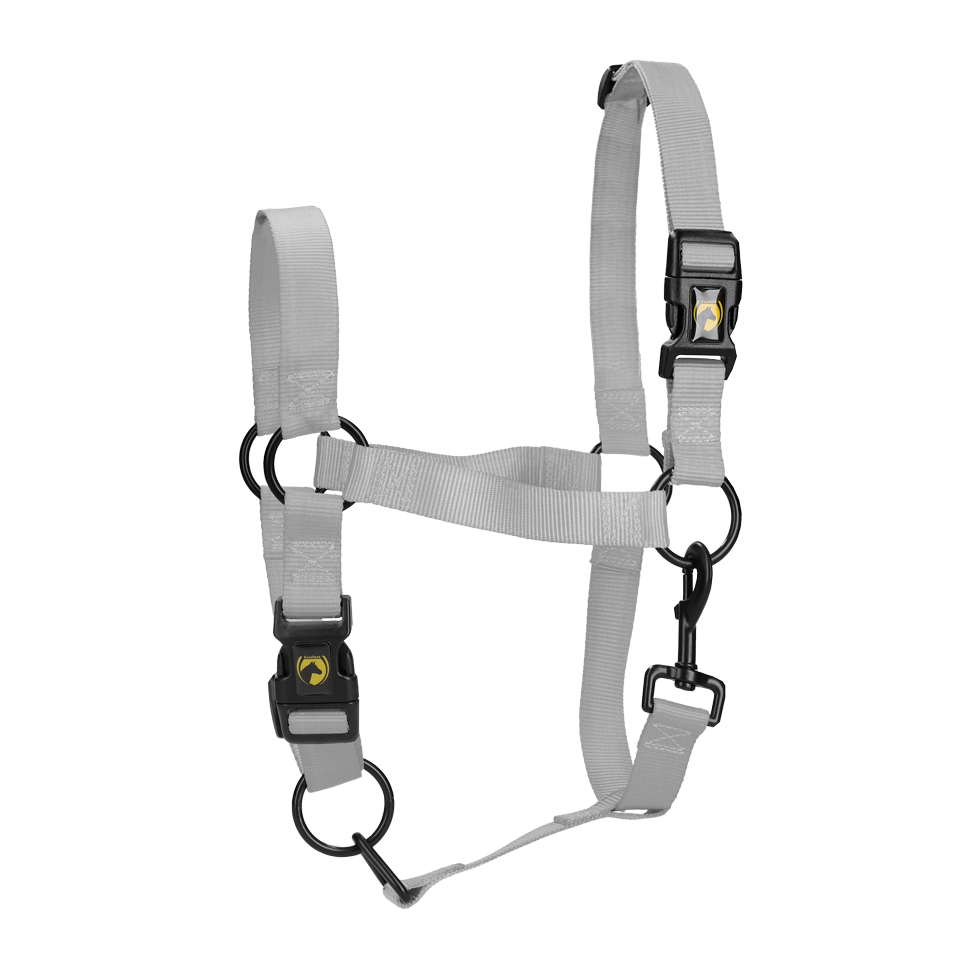Ontoegankelijk Vertrouwelijk jogger Excellent Horse Essential Halster M Pony Grijs online kopen? - Equishop SR Ontoegankelijk Vertrouwelijk jogger Excellent Horse Essential Halster M Pony Grijs online kopen? - Equishop SR