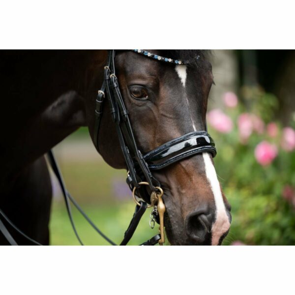 Hoofdstel Showtime Special for You - Afbeelding 4