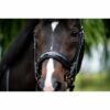 Hoofdstel Showtime Special for You - Afbeelding 7
