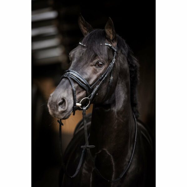 Hoofdstel Evalira - Afbeelding 3