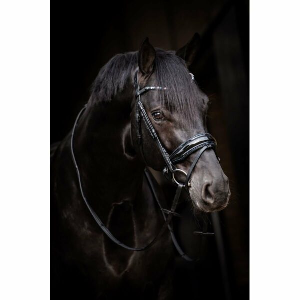 Hoofdstel Evalira - Afbeelding 2