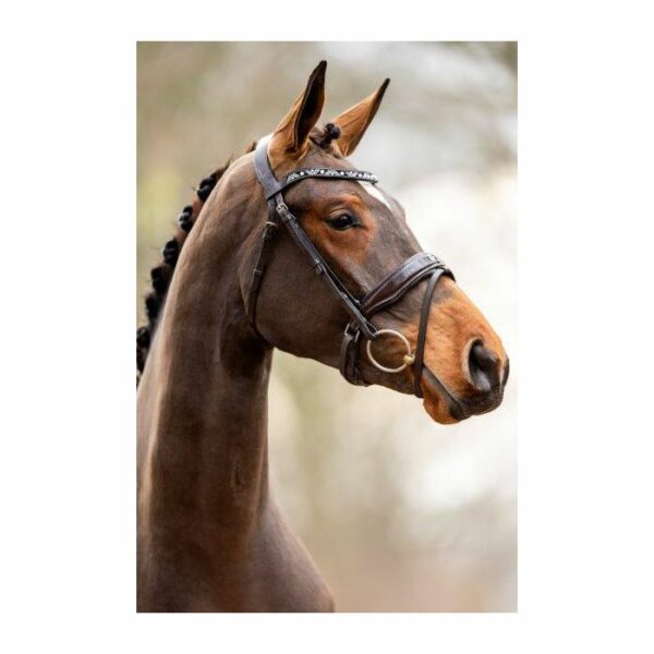 Hoofdstel Showtime Great Escape - Afbeelding 2