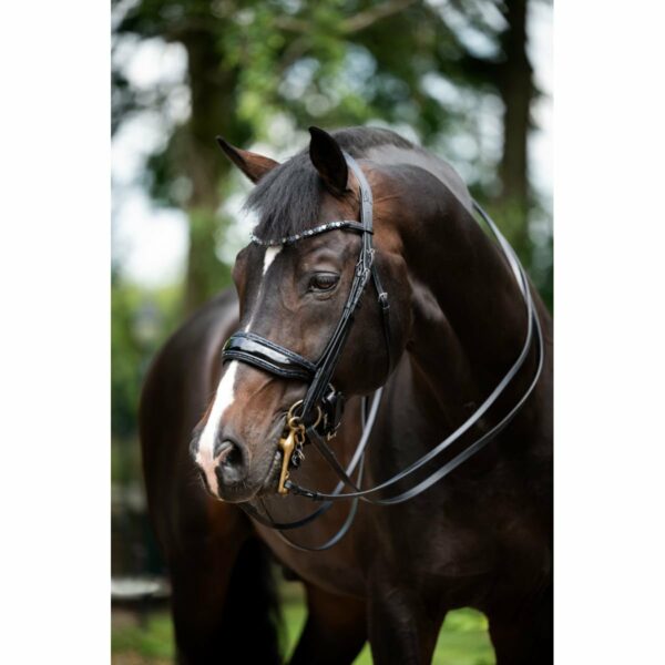 Hoofdstel Showtime Special for You - Afbeelding 5