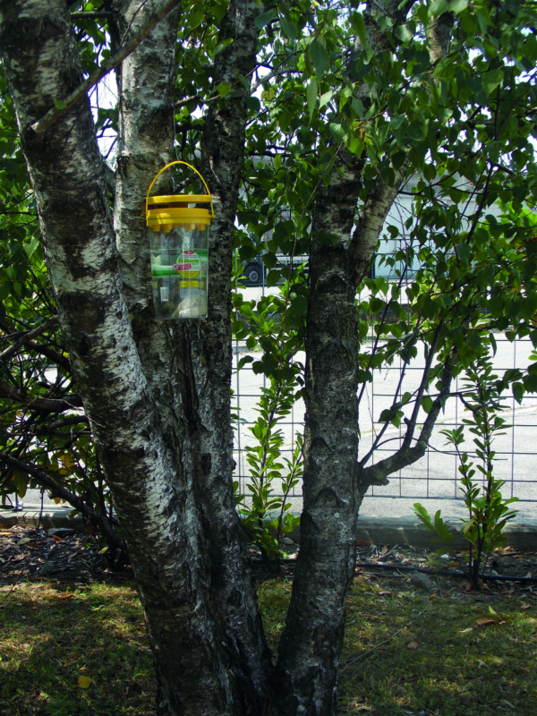 Flybuster Garden Trap incl. Bait - Afbeelding 3