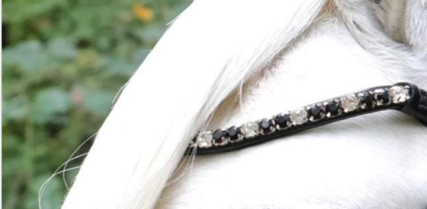 Hoofdstel A-pony - Afbeelding 3