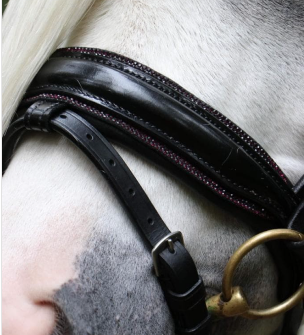 Hoofdstel A-pony - Afbeelding 4