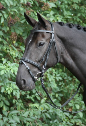 Hoofdstel Detache