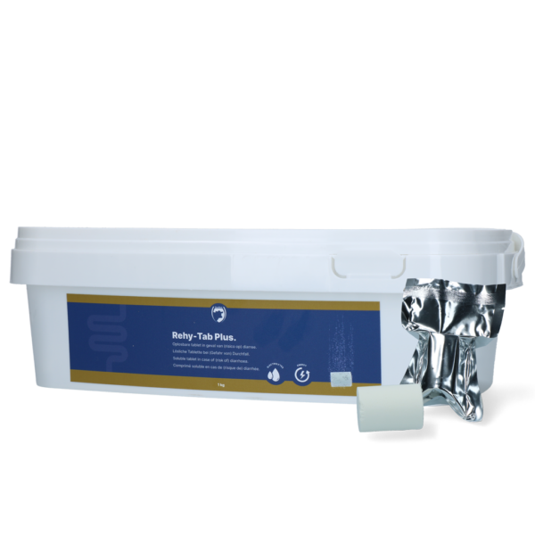 Rehy-Tab Plus (Bruistablet diarree) 20 tabl (20 st)