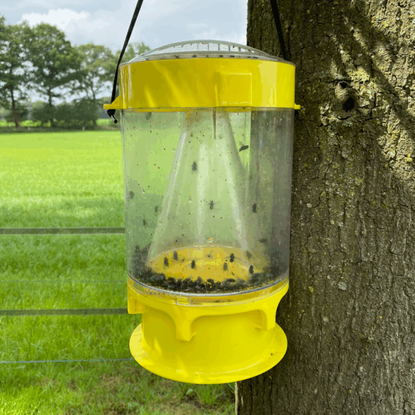 Knock Pest Vliegenval XL - Afbeelding 3