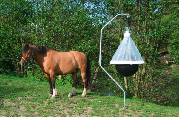 Dazenval TaonX compleet - Afbeelding 6