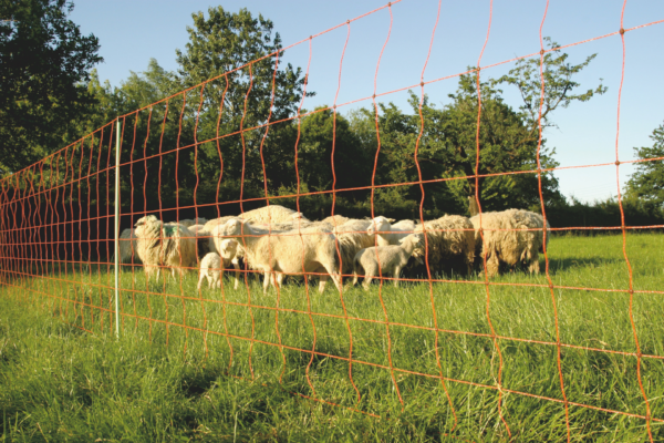 Euro-Net Combi 90 cm enkelpunt (50 m) - Afbeelding 4