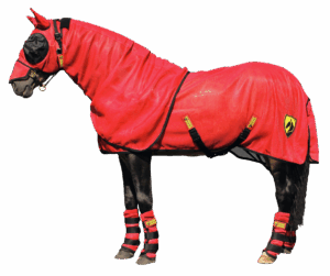 Horse Armor knockdown deken L 191 cm (Insect shield)