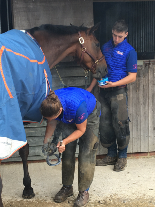 Horslyx Respiratory Balancer (5 kg) - Afbeelding 3