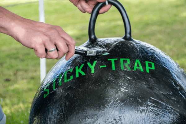 Sticky Trap glue-val compleet heavy - Afbeelding 6