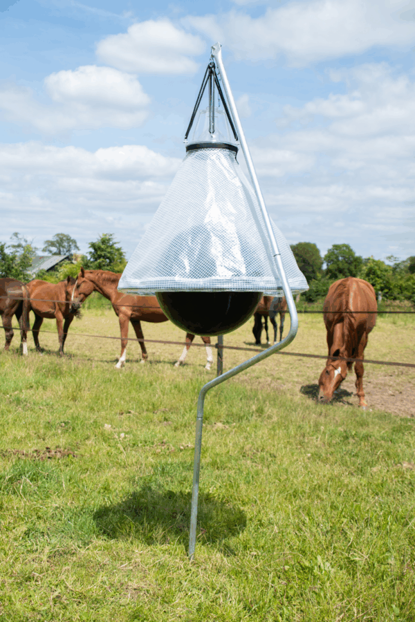 Loer Dazenval compleet - Afbeelding 6