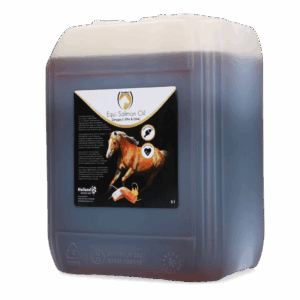 Excellent Horse Salmon Oil 5 l (5 ltr)