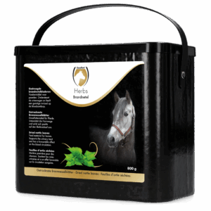 Excellent Herbs Brandnetel (800 g)