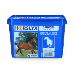 Horslyx Original (5 kg)