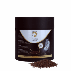 Excellent Herbs Vlozaad (Psylliumzaad) (1,2 kg)