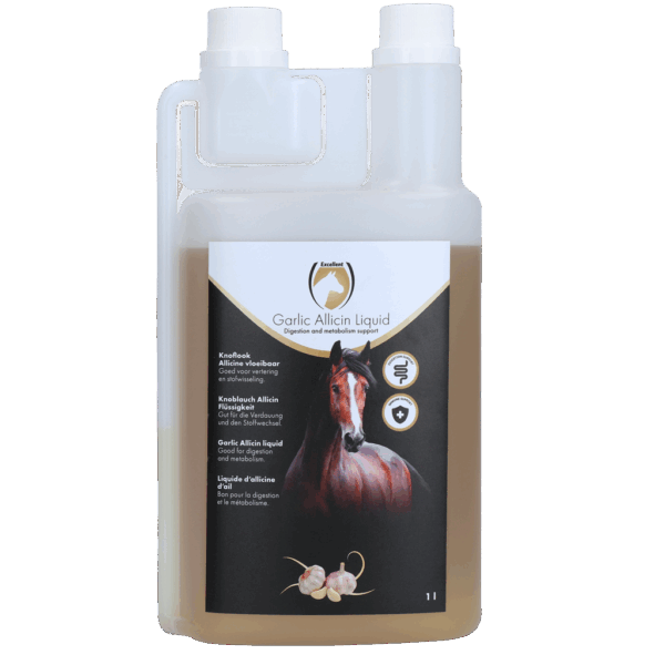 Excellent Horse Garlic Allicin Liquid 1 l (1 ltr)