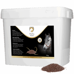 Excellent Herbs Vlozaad (Psylliumzaad) (17 KG)
